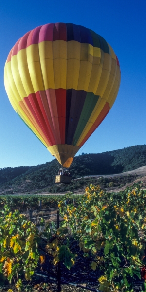 Ballonvaart Ballonvaart